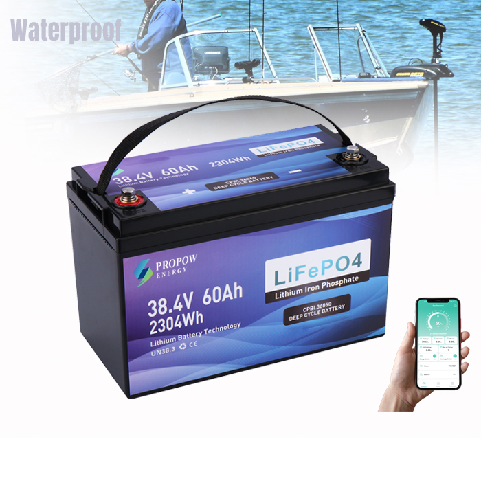 Fishing Boat Trolling Motor - Akumulatory do silników 36V, silnik do